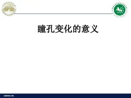 瞳孔