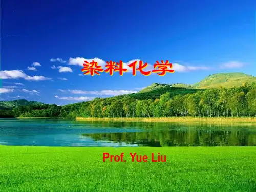 第九章  酸性染料