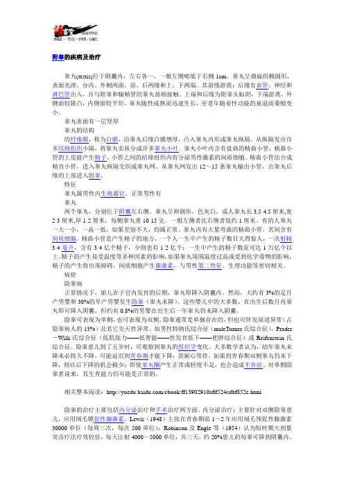 【男性性健康疾病常识】 附睾1