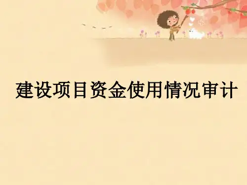 建设项目资金使用情况审计