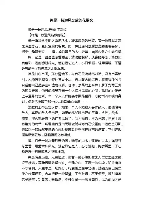 禅是一枝迎风绽放的花散文