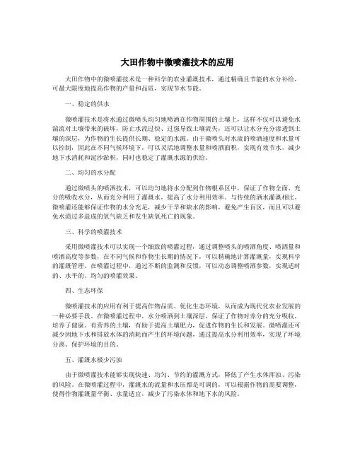 大田作物中微喷灌技术的应用