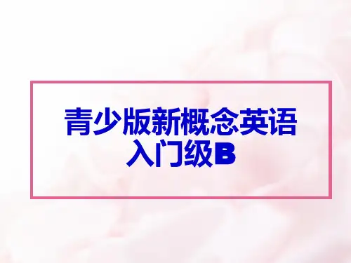 青少版新概念入门级B unit 1ppt课件