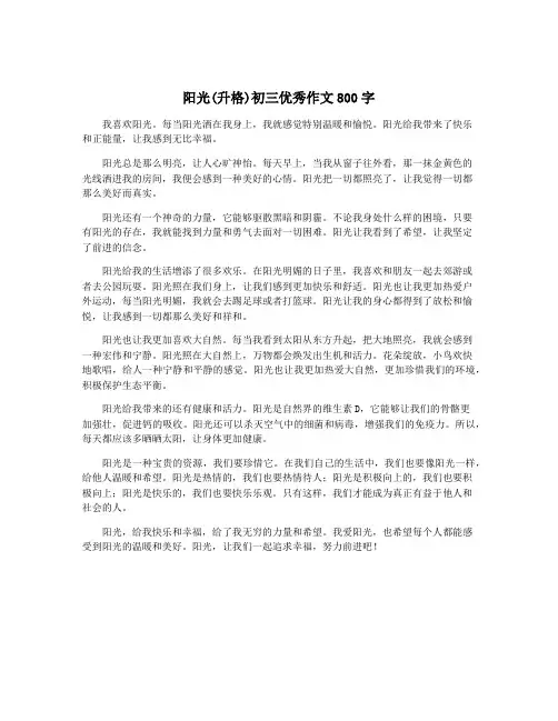 阳光(升格)初三优秀作文800字