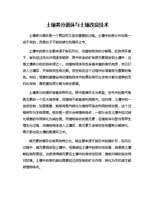 土壤养分循环与土壤改良技术