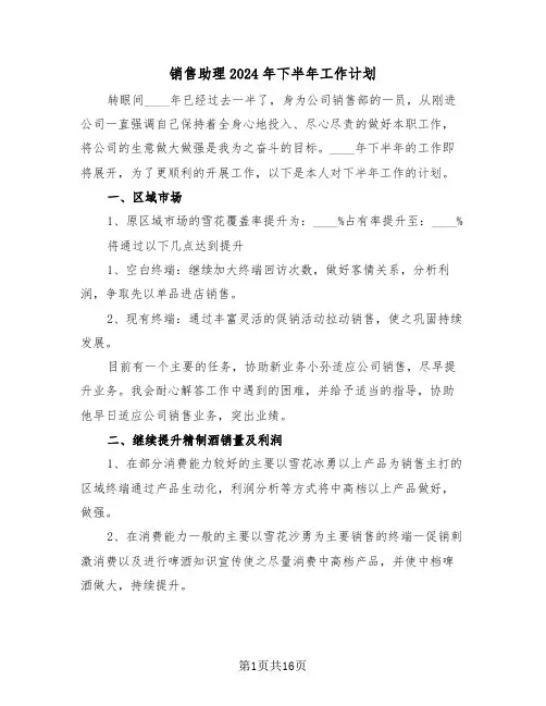 销售助理2024年下半年工作计划(3篇)