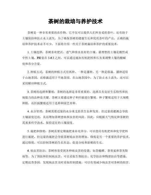 茶树的栽培与养护技术