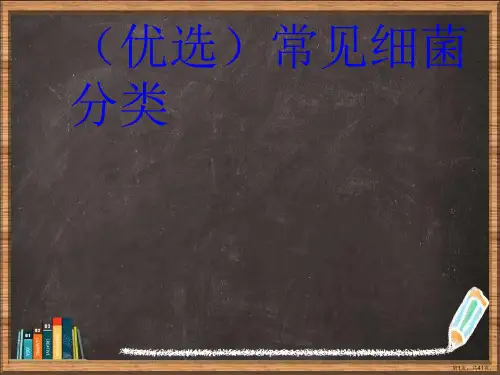 优选常见细菌分类演示ppt