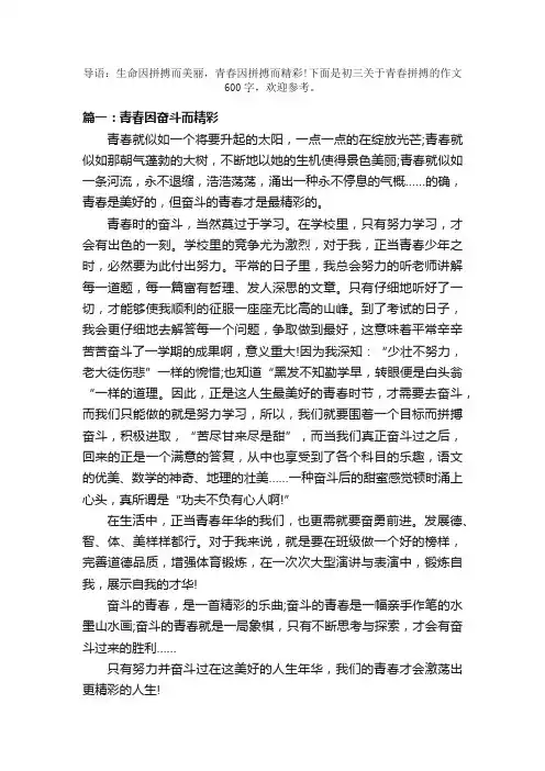 初三关于青春拼搏的作文600字