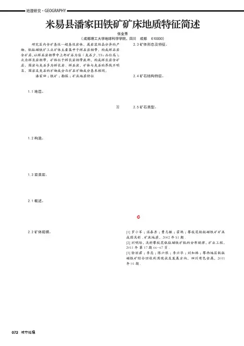 米易县潘家田铁矿矿床地质特征简述