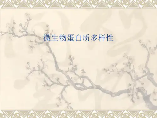 微生物蛋白质多样性PPT精品医学课件