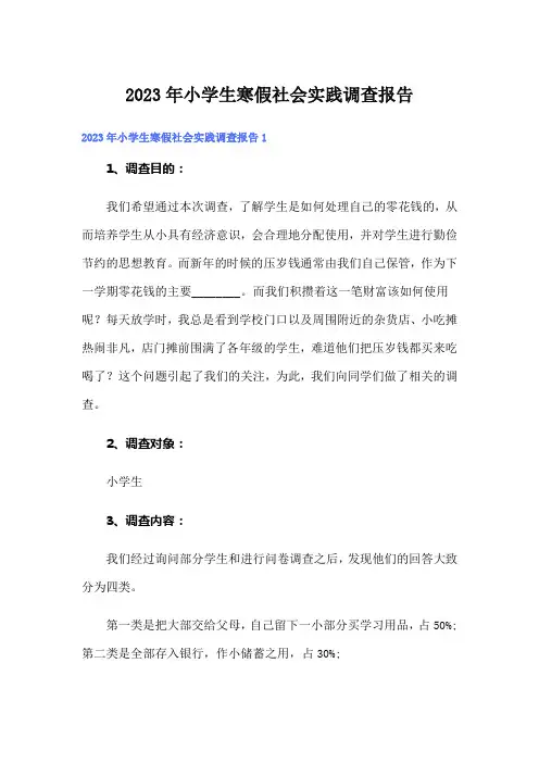 2023年小学生寒假社会实践调查报告
