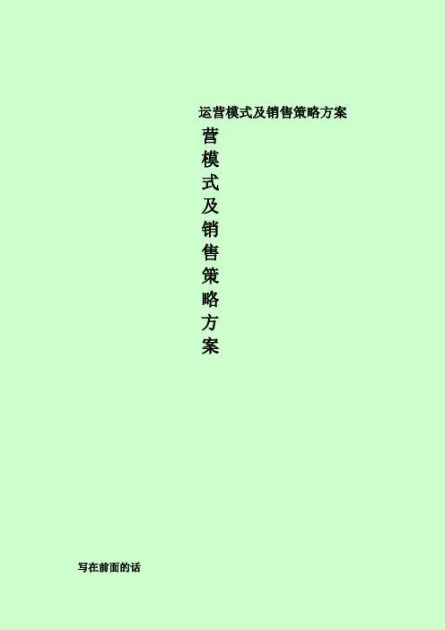 运营模式及销售策略方案