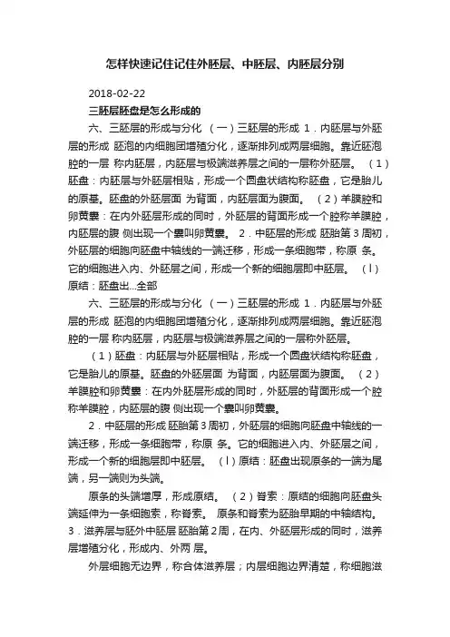 怎样快速记住记住外胚层、中胚层、内胚层分别