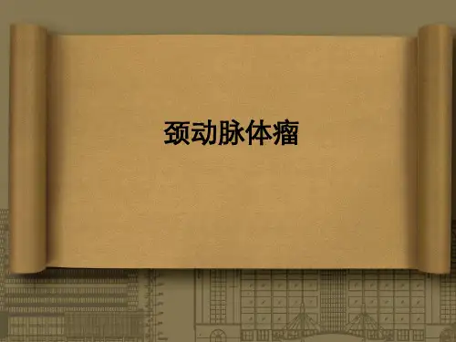 颈动脉体瘤ppt课件