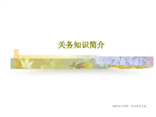 关务知识简介PPT文档17页