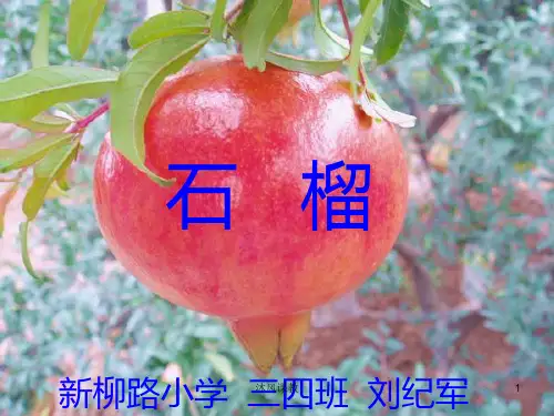 苏教版小学三年级语文上册《石榴》(谷风讲课)
