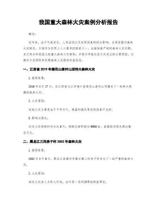 我国重大森林火灾案例分析报告