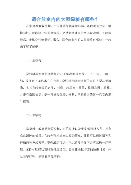 适合放室内的大型绿植有哪些？