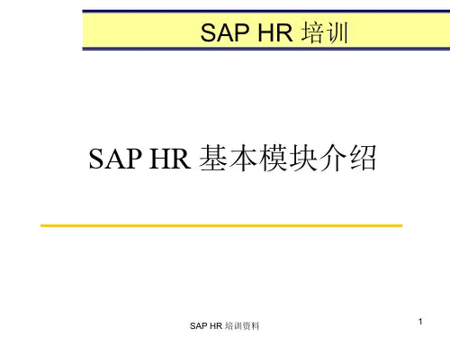 NO.3 SAP HR的基本概念和功能