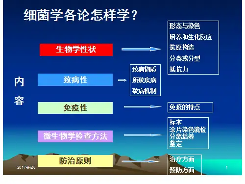 化脓性球菌