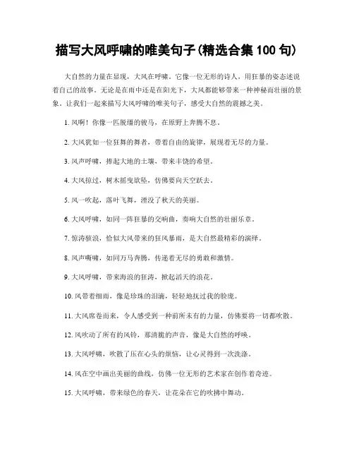 描写大风呼啸的唯美句子(精选合集100句)