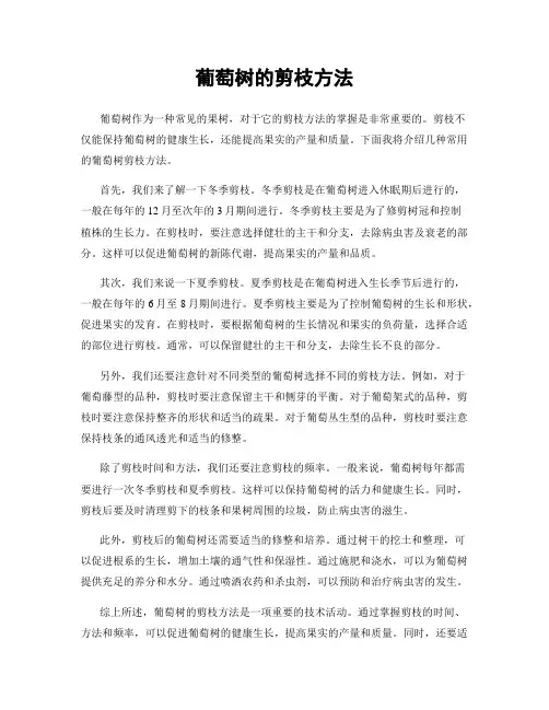 葡萄树的剪枝方法