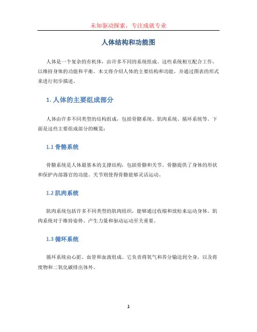 人体结构和功能图