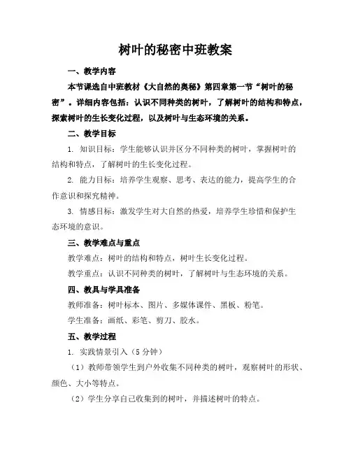 树叶的秘密中班教案