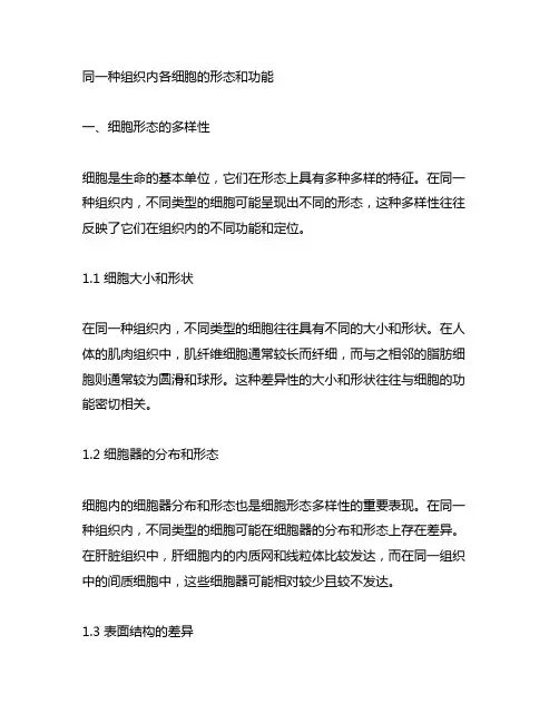 同一种组织内各细胞的形态和功能