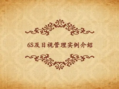 6S及目视管理图集