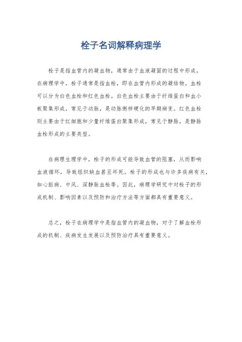 栓子名词解释病理学