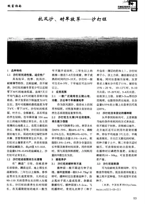 抗风沙、耐旱牧草—沙打旺