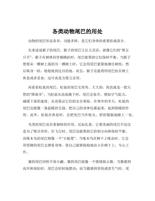 各类动物尾巴的用处