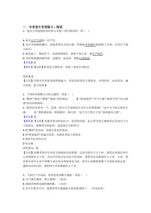 【精品】部编初中中考语文 短语练习题及解析