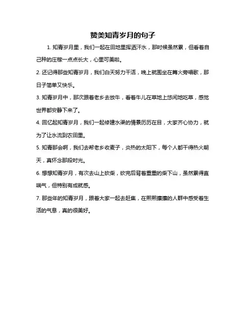 赞美知青岁月的句子