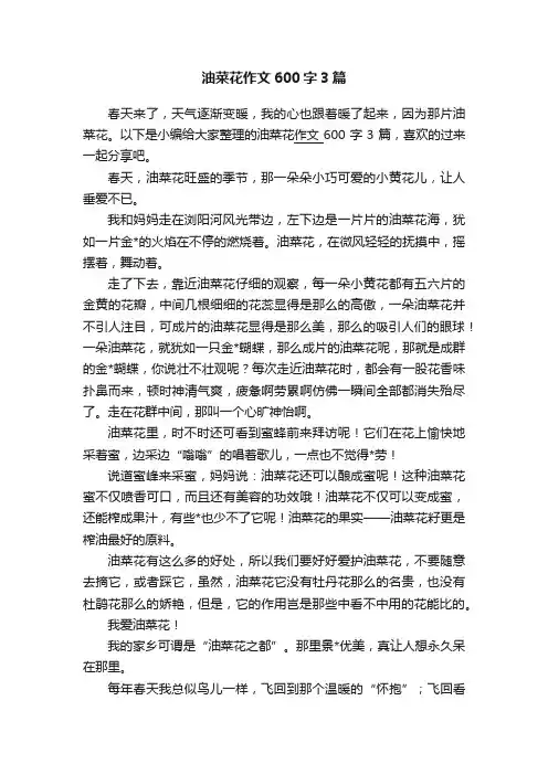 油菜花作文600字3篇
