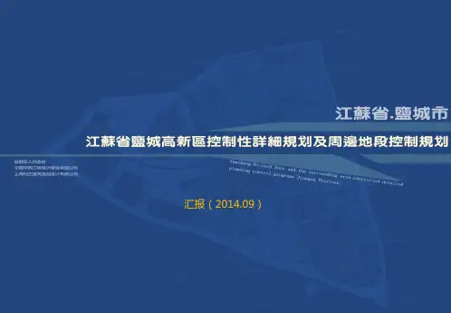 评审汇报PPT——09.17