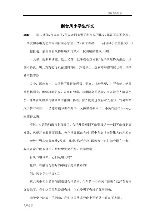 刮台风小学生作文