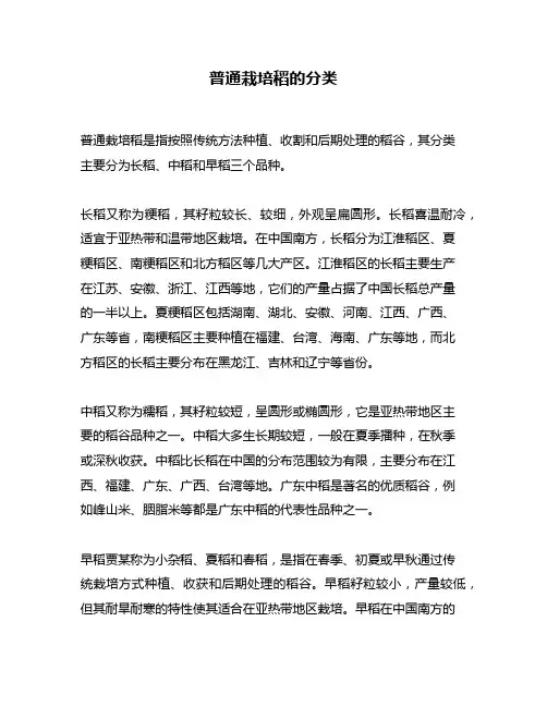 普通栽培稻的分类