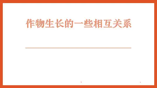 作物生长的相互关系
