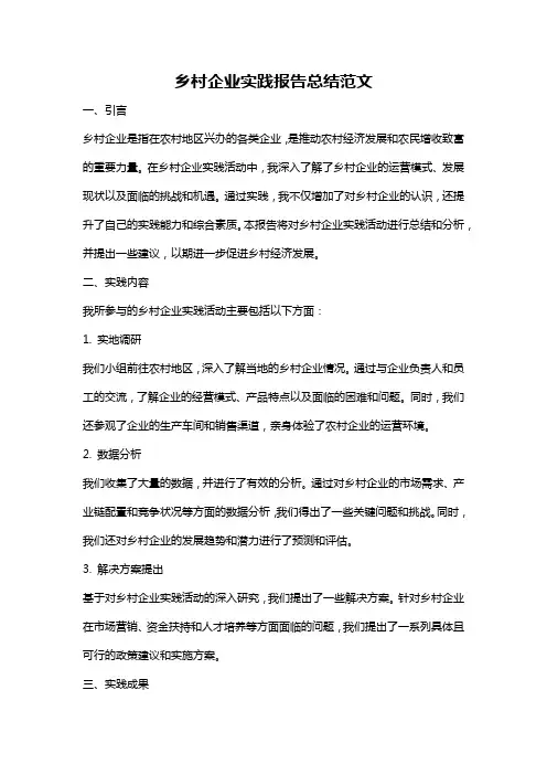 乡村企业实践报告总结范文