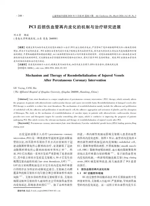 PCI后损伤血管再内皮化的机制与治疗研究进展