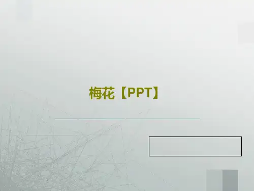 梅花【PPT】18页PPT