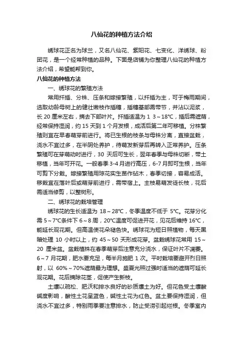 八仙花的种植方法介绍