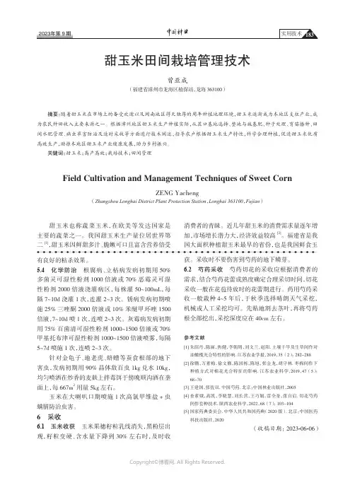 甜玉米田间栽培管理技术