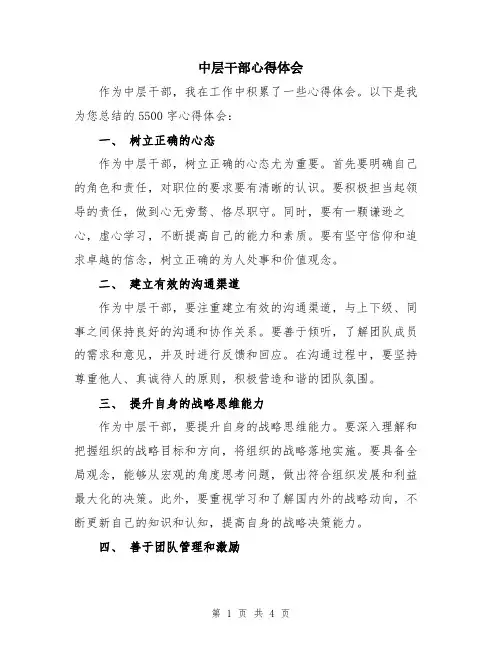 中层干部心得体会