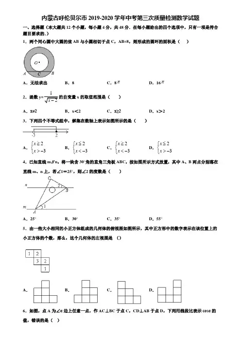 内蒙古呼伦贝尔市2019-2020学年中考第三次质量检测数学试题含解析