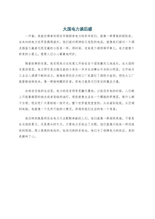 大国电力读后感