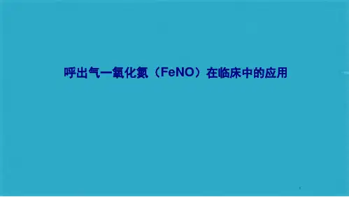FeNO测定及应用(共36张PPT)